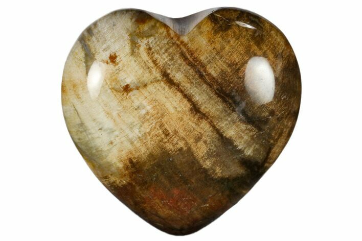 Polished, Triassic Petrified Wood Heart - Madagascar #115522